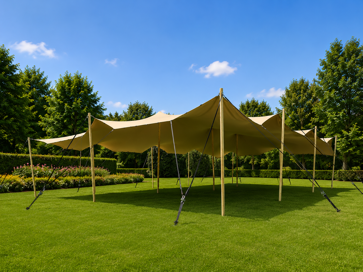 Cort Stretch 7x15